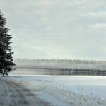 Fleet Management Considerations for Wildlife Conservation Monitoring: Betbhai9 whatsapp number, Play exch.in, Lotus365.win new id